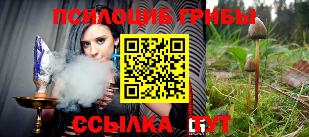Псилоцибиновые грибы Magic Shrooms  Вход с VPN  Ликино-Дулёво  Галлюциногенные грибы Psilocybe 