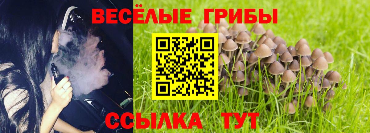 Псилоцибиновые грибы Magic Shrooms Ликино-Дулёво